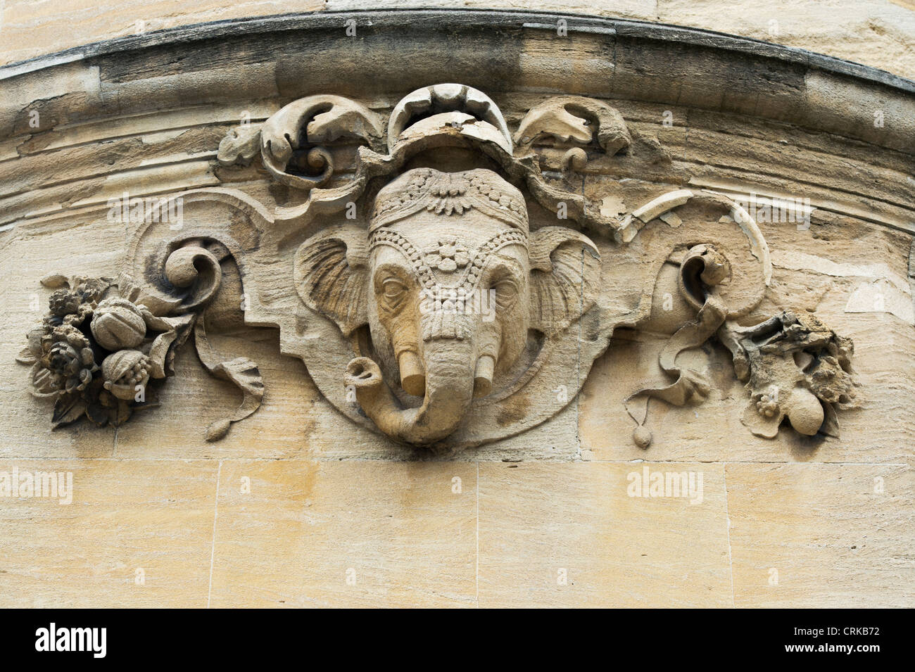 Ganesha / Elefant Stein Carven auf alten Indian Institute Gebäude / Geschichte der Bibliothek Fakultät, Universität Oxford Stockfoto