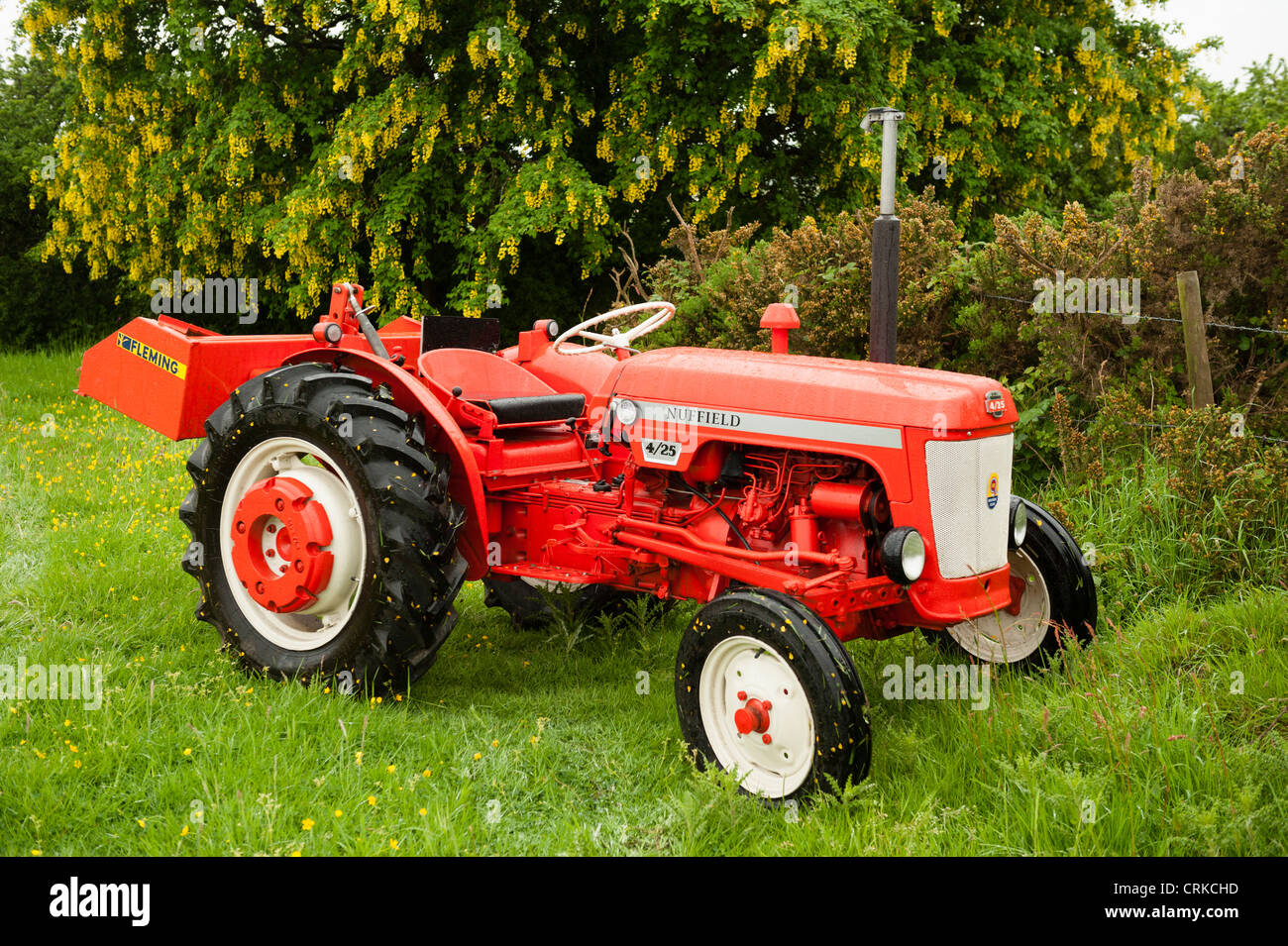 Ein roter Nuffield 4/25 Traktor steht in einem Feld UK Stockfoto