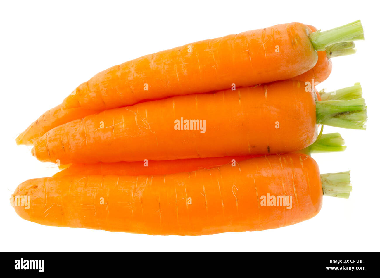 Frische reife Karotten - Studio gedreht mit weißem Hintergrund Stockfoto