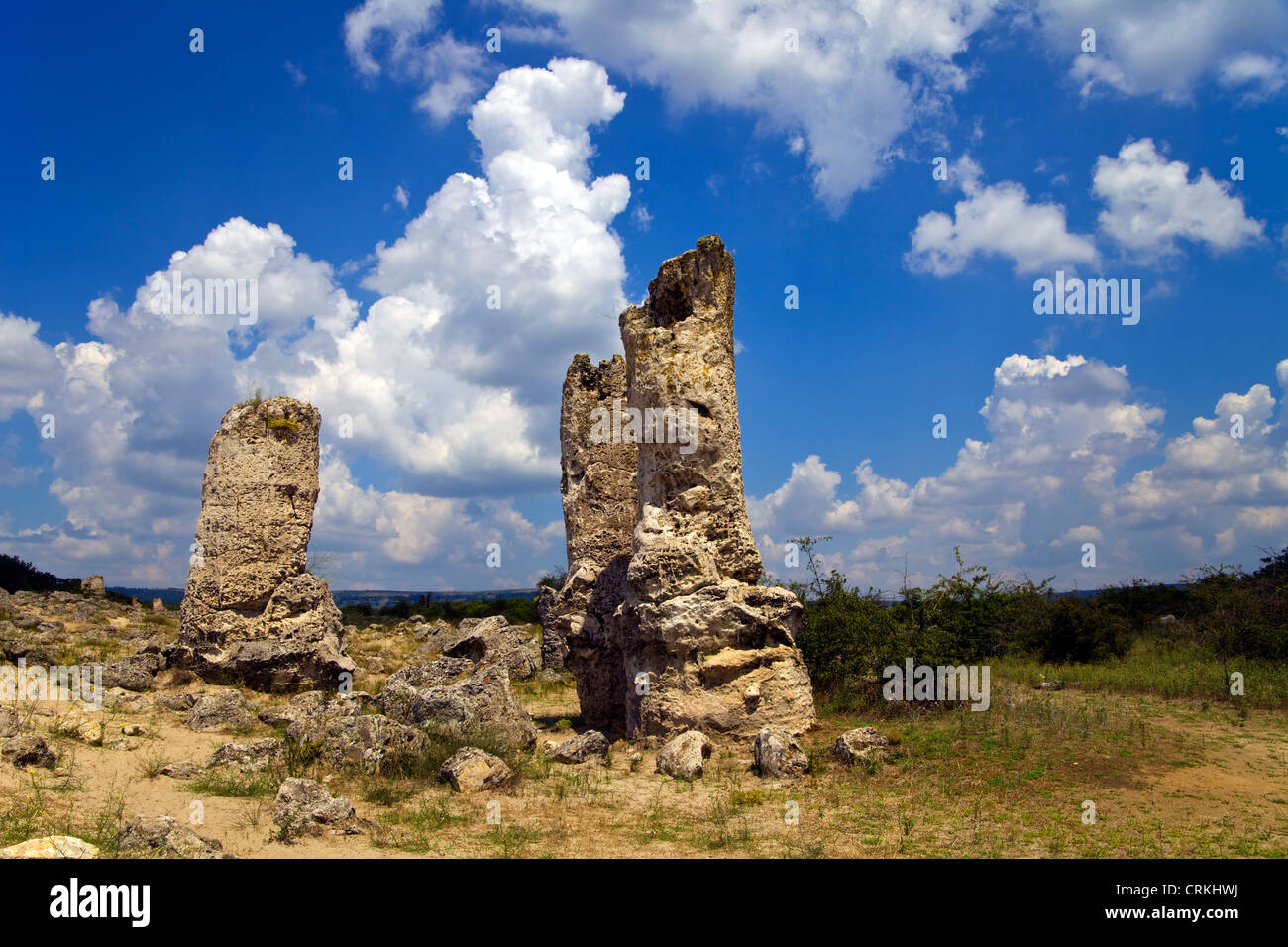 Pobiti Kamani versteinert Stein Wald in der Nähe von Varna in Bulgarien Stockfoto
