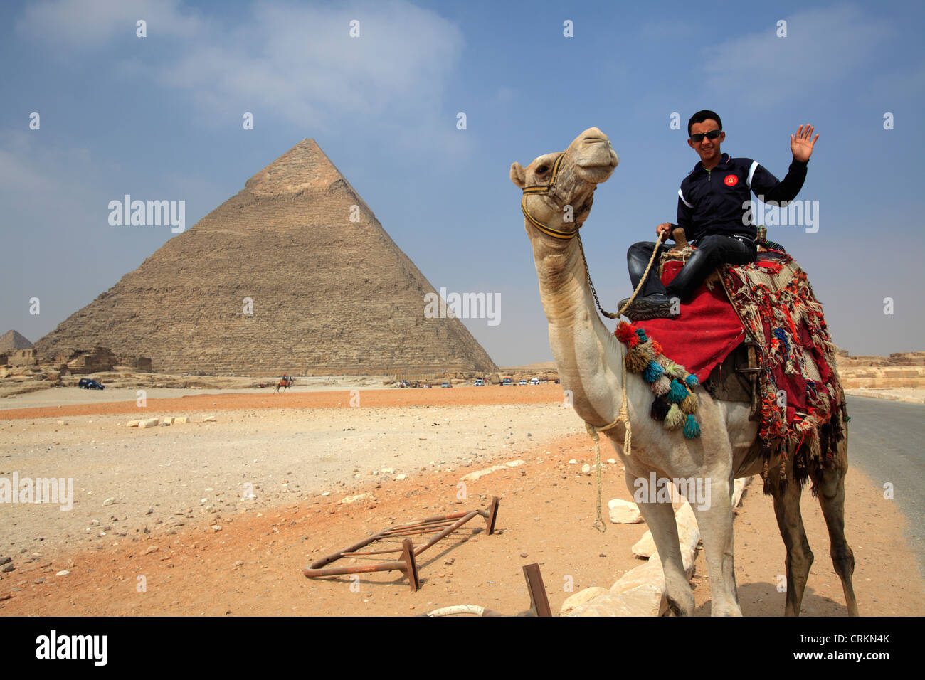 Kamele bei der Pyramide von Gizeh, Ägypten komplexer Stockfoto