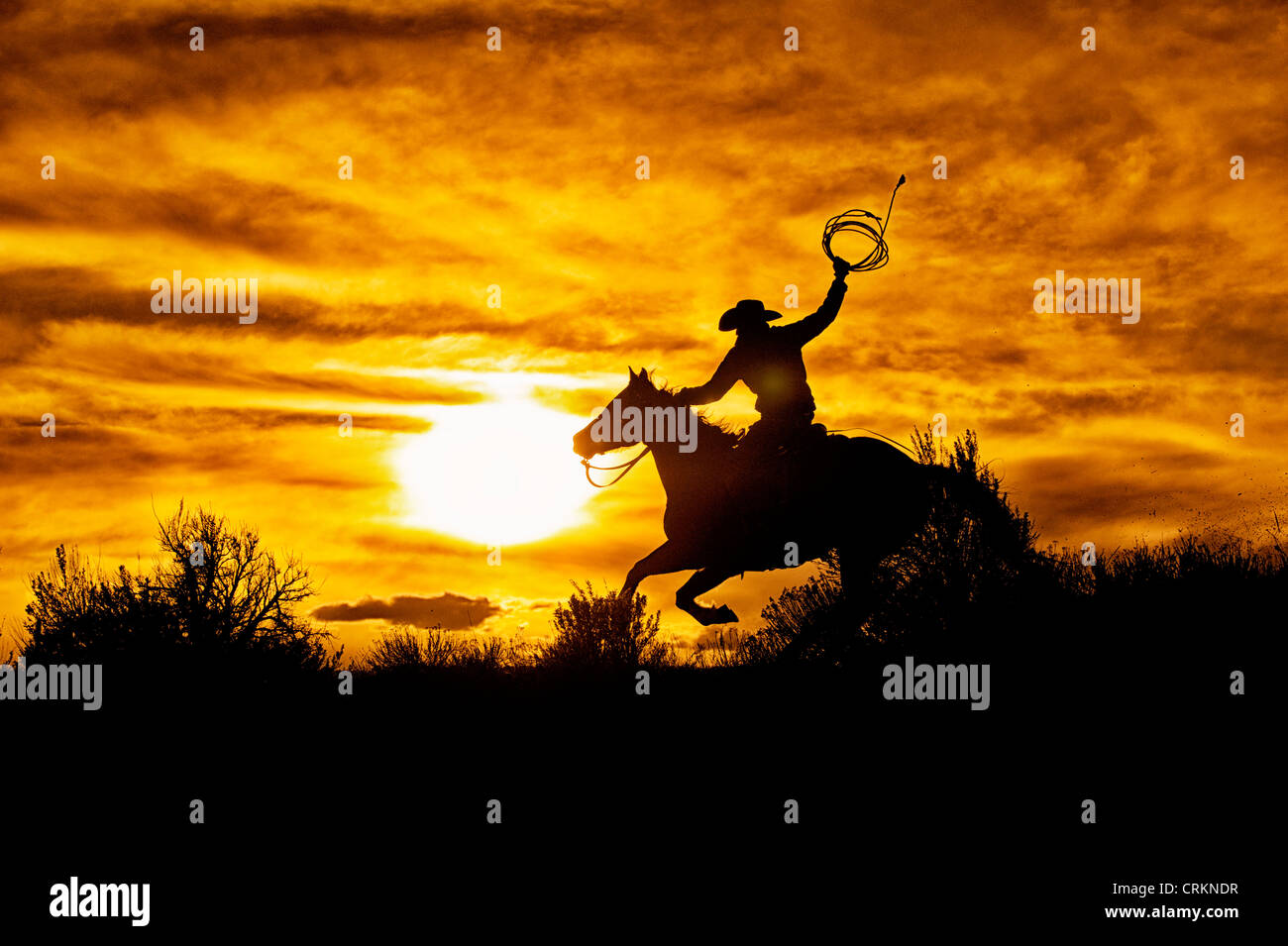 Cowboy Reiten bei Sonnenuntergang, Sombreo, Colorado Stockfoto