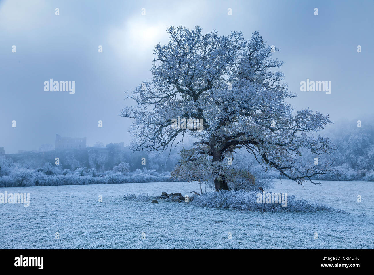 STARKEM FROST AUF EICHE UND CHEPSTOW CASTLE IM WINTER ENTNOMMEN GLOUCESTERSHIRE, ENGLAND IN MONMOUTHSHIRE, WALES Stockfoto