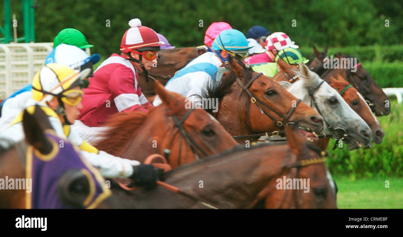 Start zu galoppieren Stockfoto