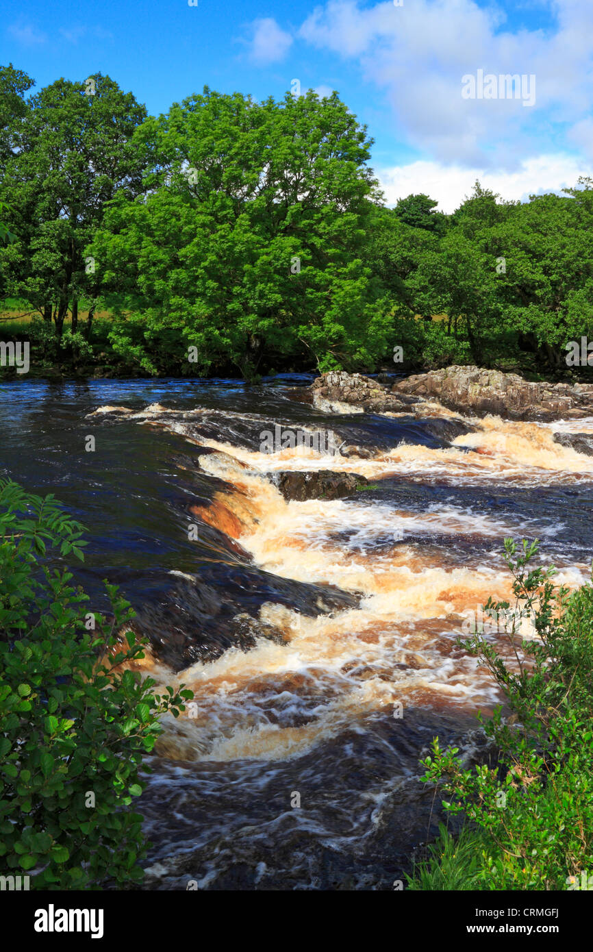 Der River Tees am Low Force Wasserfall in der Nähe von Middleton in Teesdale, County Durham, England, UK. Stockfoto