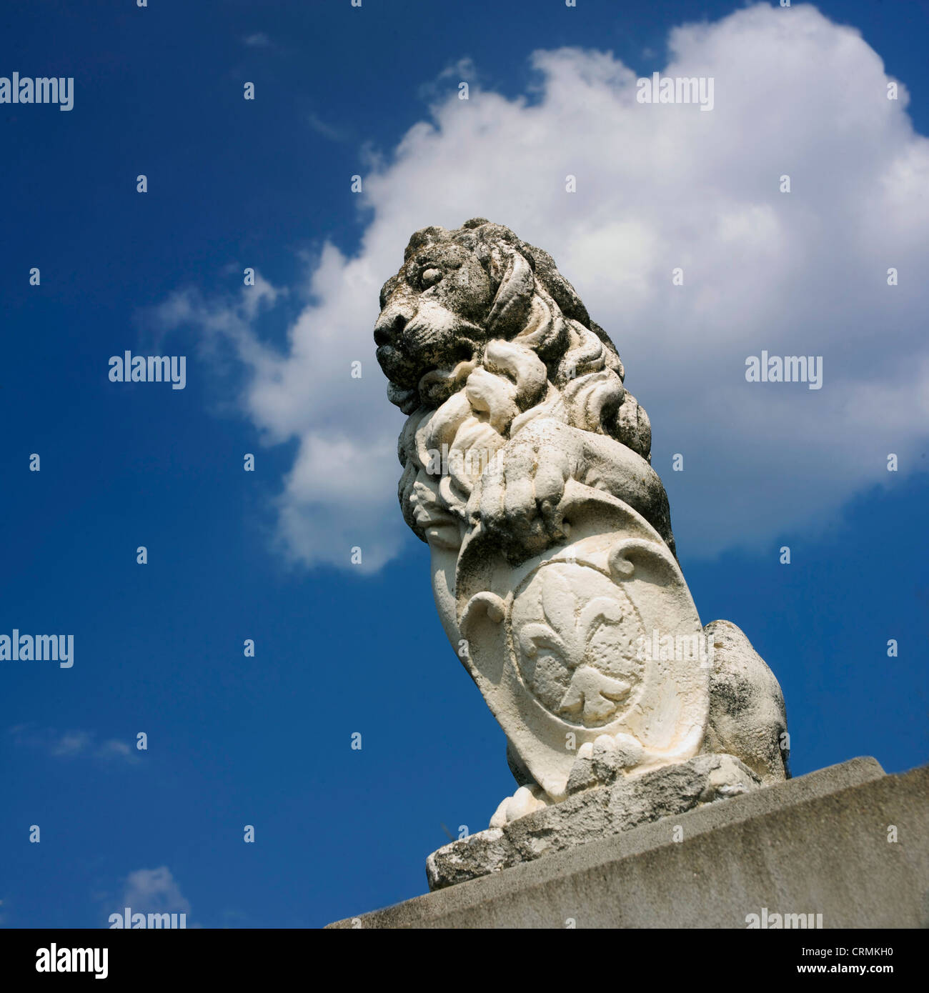 Statue des Löwen, Dekoration der Heimat Eingang, Auvergne, Frankreich Stockfoto