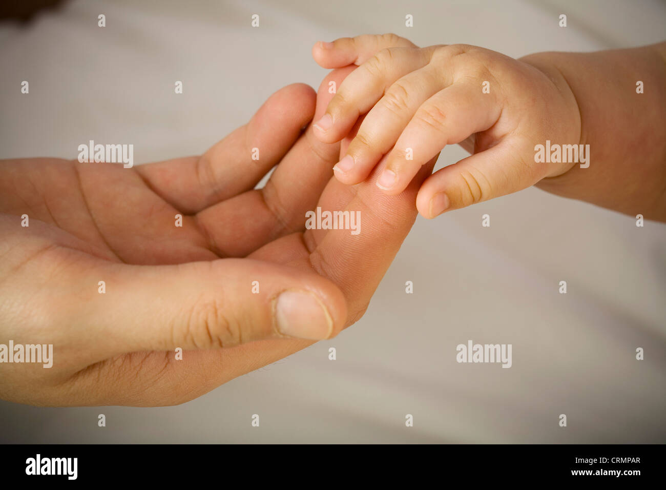 Hand ein Erwachsenen hält sich an Hand eines Babys. Stockfoto