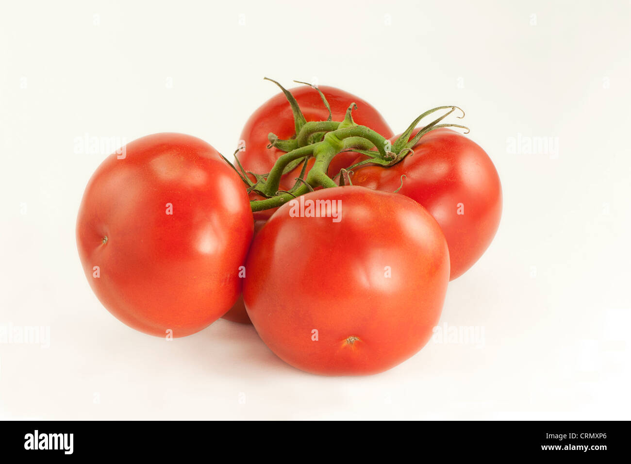 Stillleben mit Tomaten Stockfoto