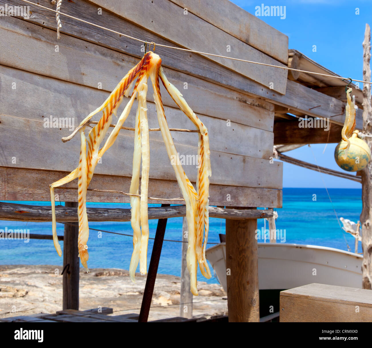 getrocknete Peix Sec typisch Fischfutter im Mittelmeer Balearen Islans auf Formentera Stockfoto