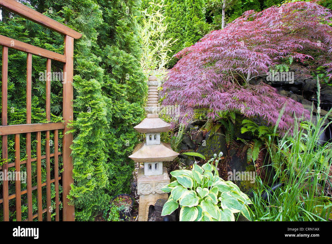 Japanisch inspirierte Garten mit Stein-Pagode Spalier und Ahornbaum Stockfoto