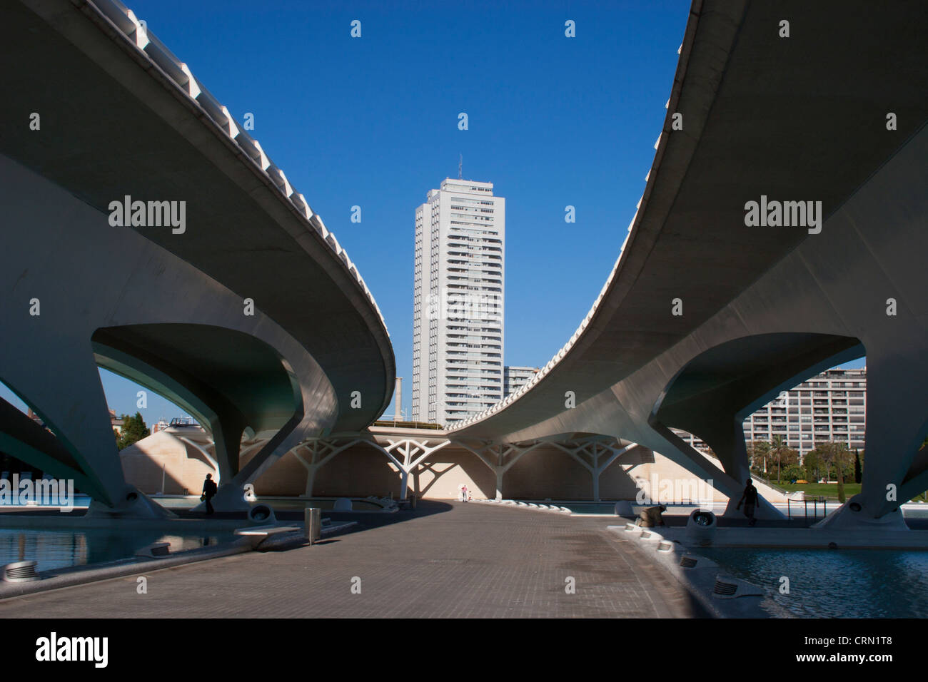 Stadt der Künste & Wissenschaften, Valencia, Spanien Stockfoto