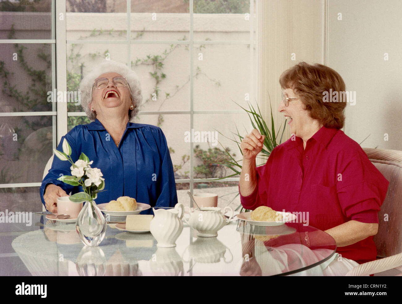 Frauen in Führungspositionen genießen einander, ein Speisesaal Tisch USA Stockfoto