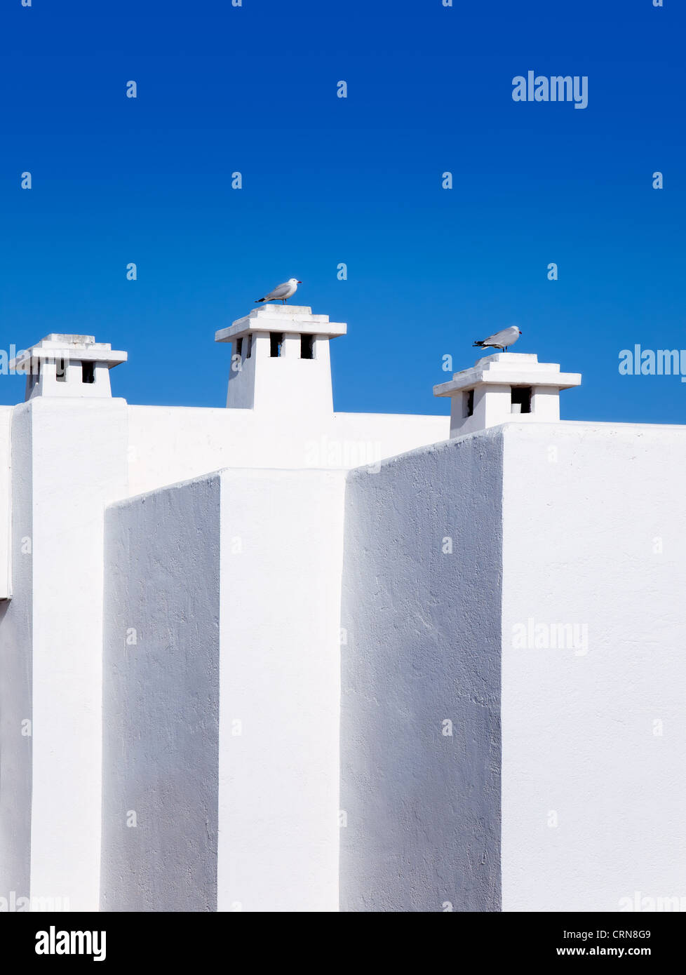Balearen-Mittelmeer weiße Häuser mit Möwe in Schornsteinen Stockfoto