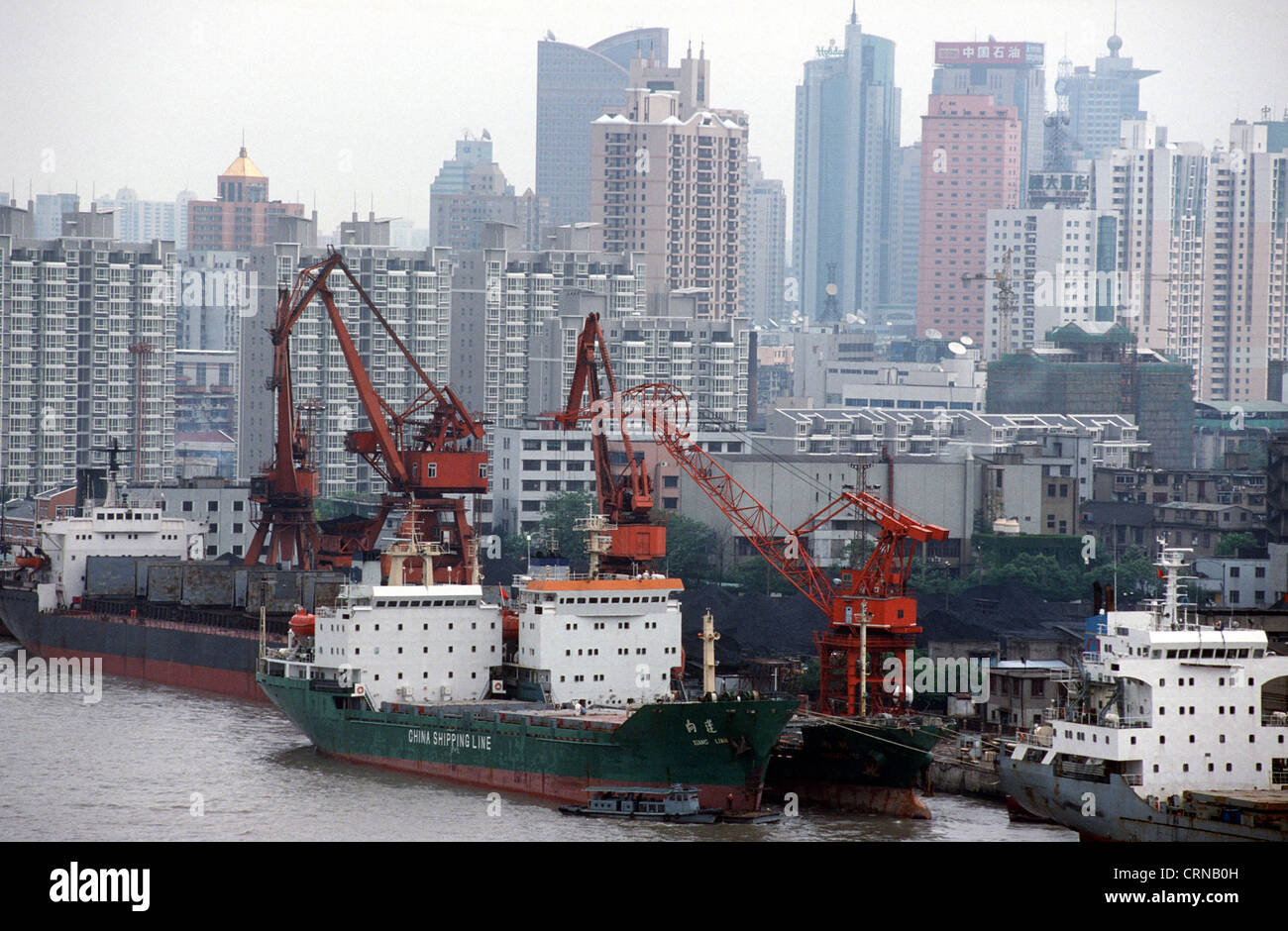 Containerschiffe werden in Shanghai Hafen gelöscht. Stockfoto