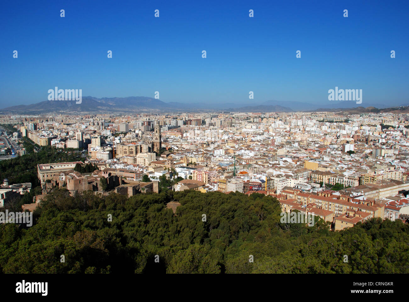 Ansicht der Stadt mit der Kathedrale, Malaga, Costa del Sol, Provinz Malaga, Andalusien, Spanien in Westeuropa. Stockfoto