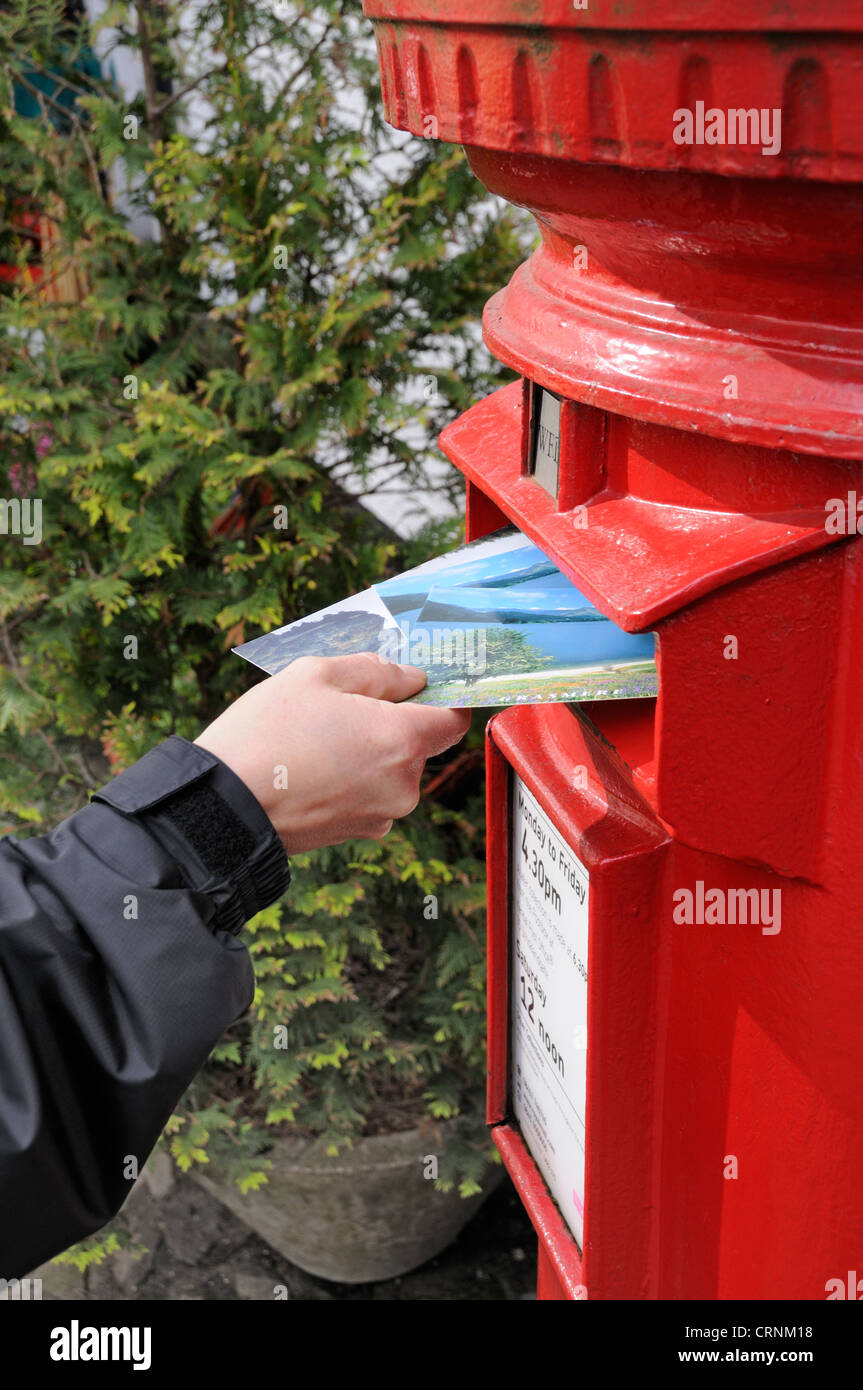 Buchen Postkarten in einer traditionellen roten Briefkasten. Stockfoto