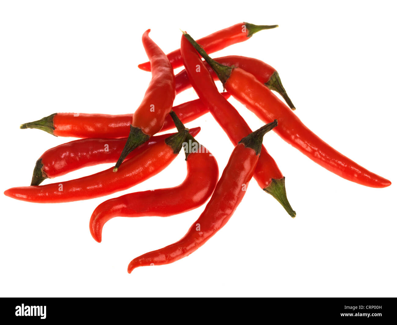 Gesunde frische reife Heiße rohe Rote Chilis Kochen oder Lebensmittelzutaten, vor einem weißen Hintergrund isoliert, ohne Menschen Stockfoto