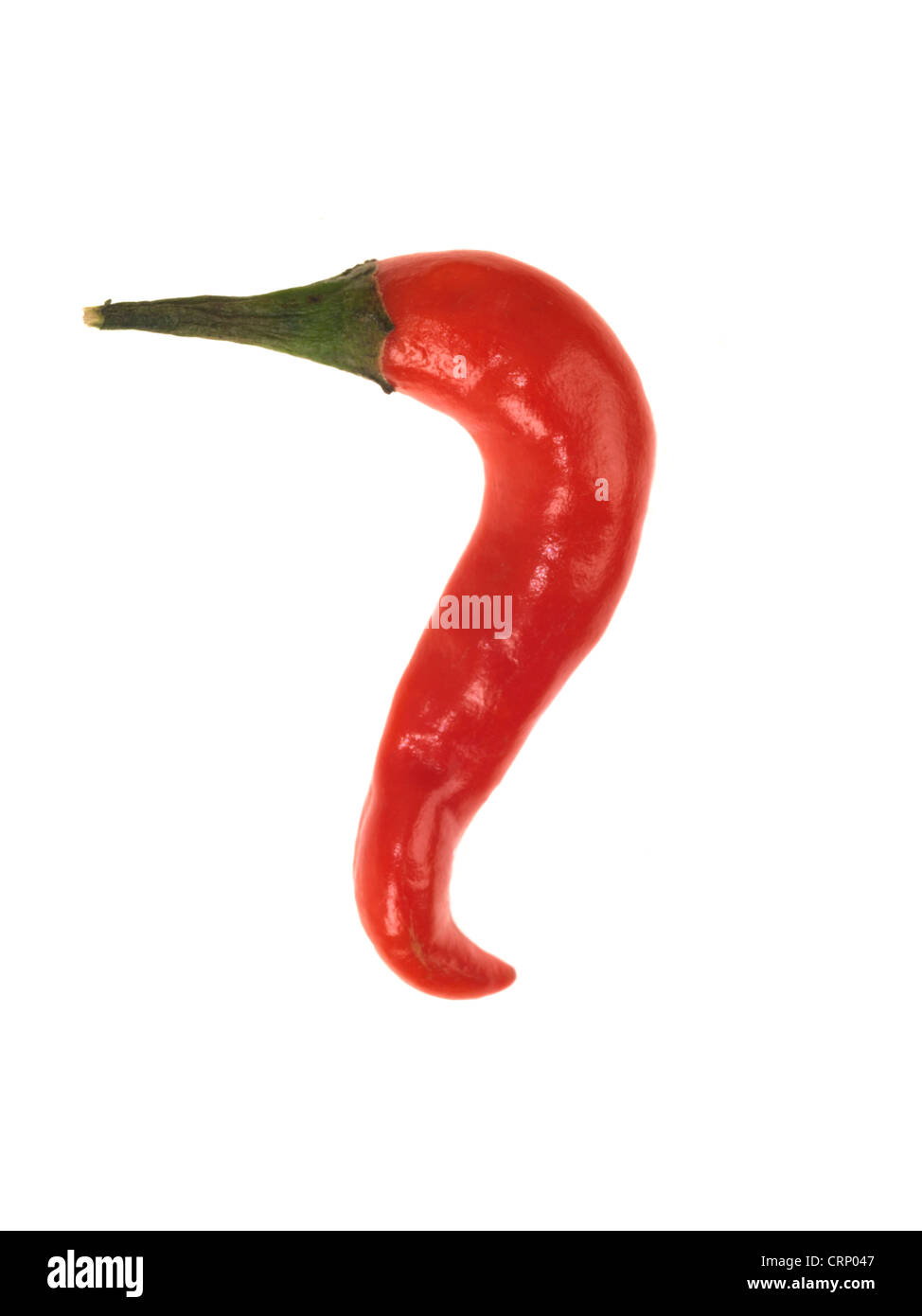 Gesunde frische reife Heiße rohe Rote Chilis Kochen oder Lebensmittelzutaten, vor einem weißen Hintergrund isoliert, ohne Menschen Stockfoto