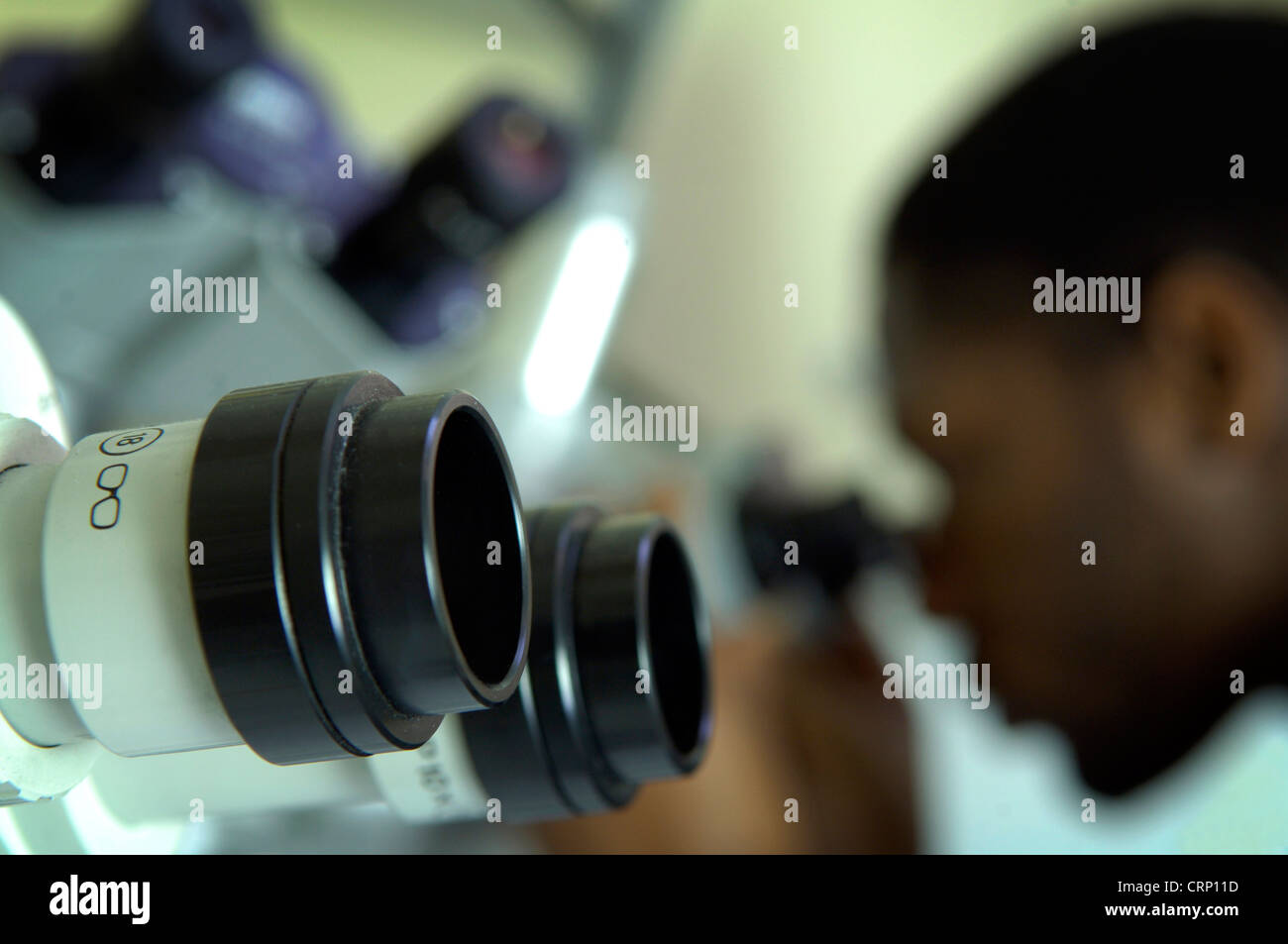 Ein junger afrikanischer Medizinstudent unter Verwendung eines Mikroskops, um seine Testergebnisse zu untersuchen. Stockfoto