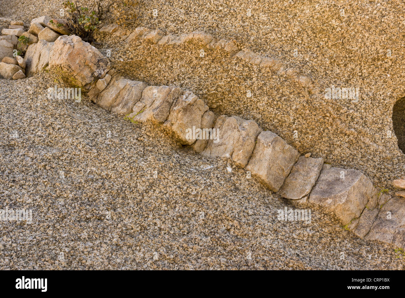 MONZO-Granit mit aufdringlichen Schwelle, Joshua Tree N.P., Mojave-Wüste, Kalifornien, Vereinigte Staaten von Amerika, Februar Stockfoto