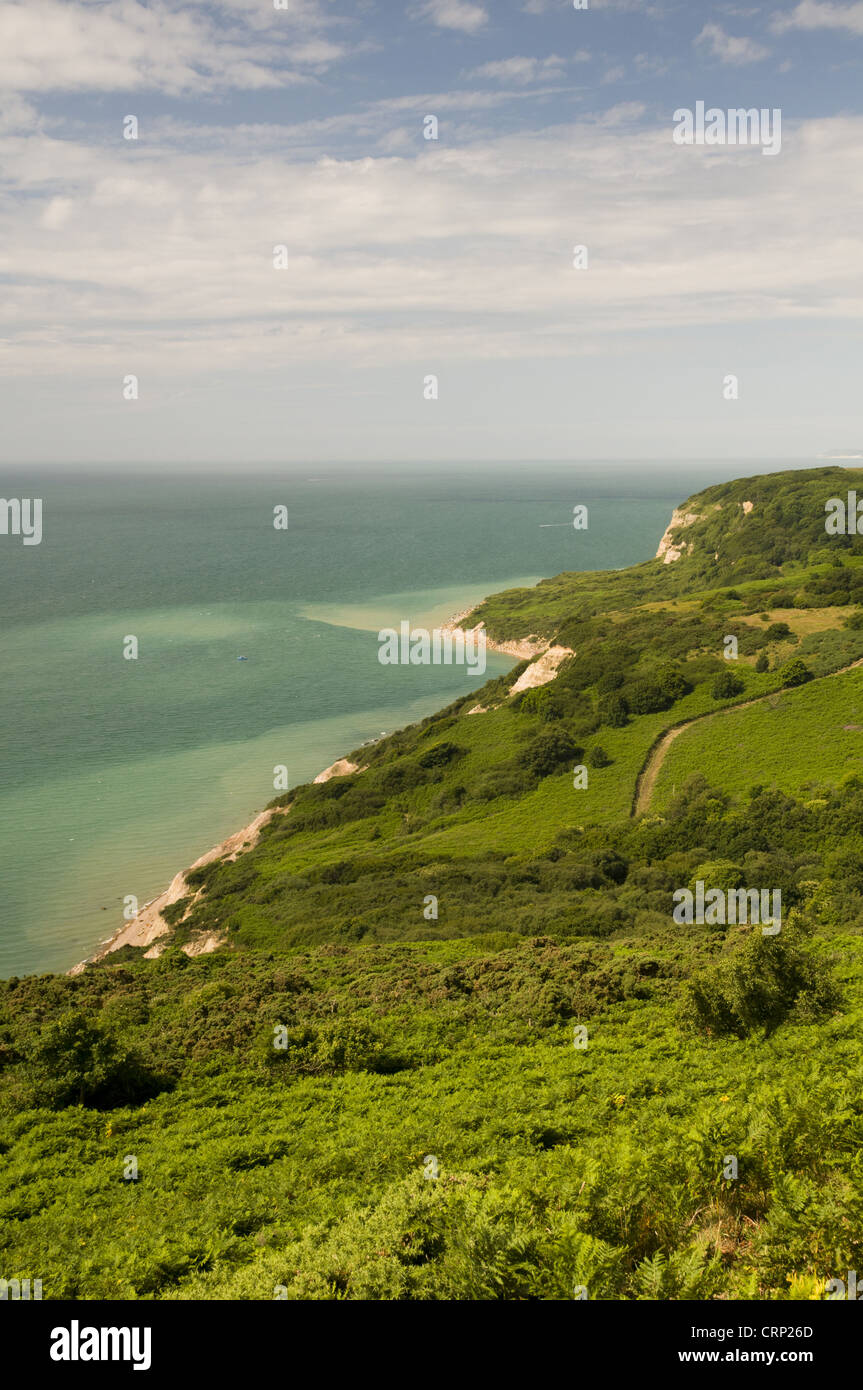 Blick auf Küste, gesehen von Hastings Country Park, Covehurst Bay, Ärmelkanal, East Sussex, England, Juli Stockfoto