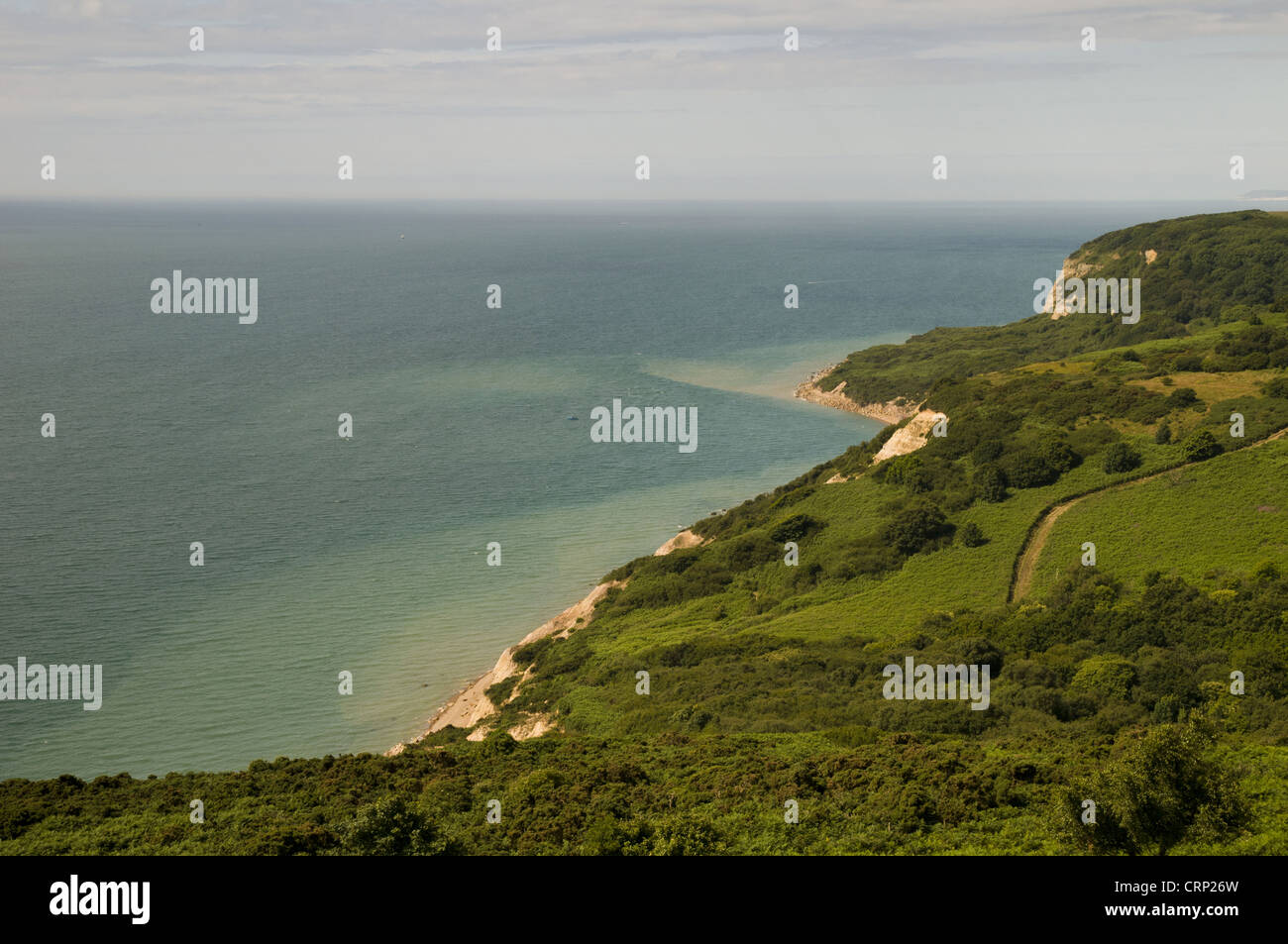 Blick auf Küste, gesehen von Hastings Country Park, Covehurst Bay, Ärmelkanal, East Sussex, England, Juli Stockfoto