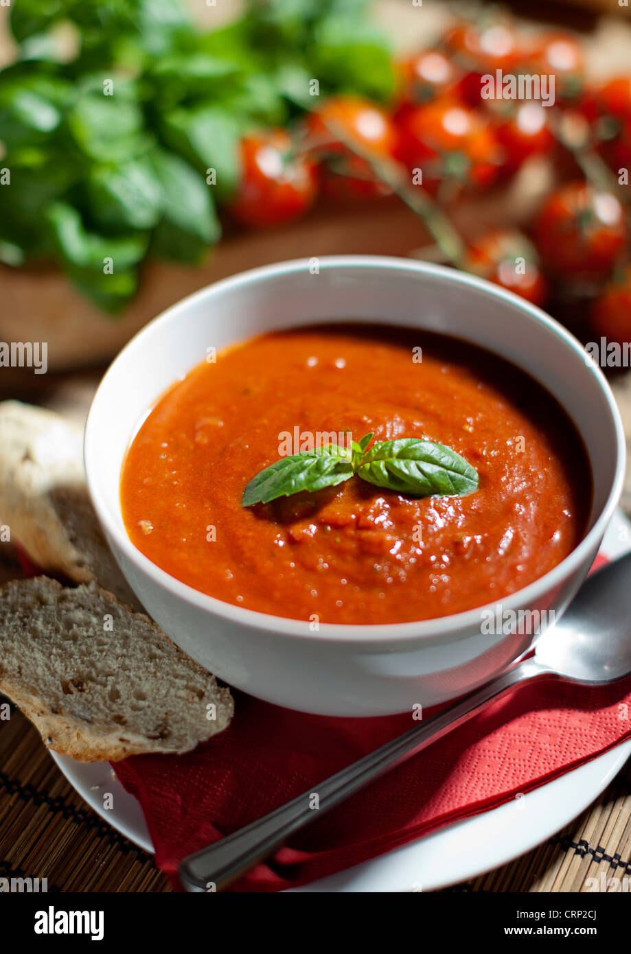 Warme Tomaten-Basilikum-Suppe Stockfoto