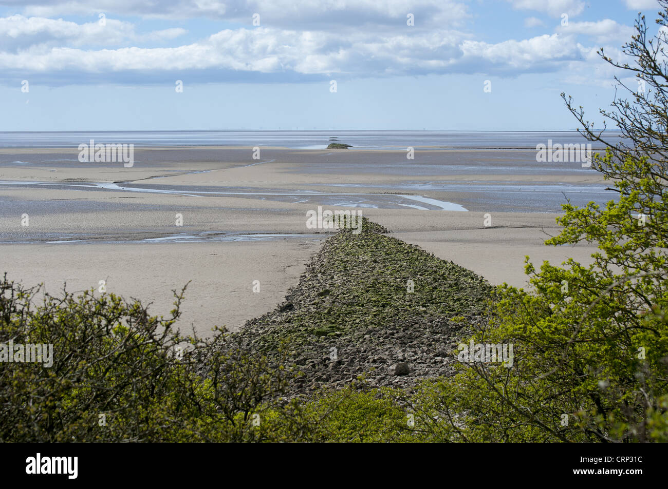 Kalkstein Damm, Relikt der überambitionierten Land Reclamation Schema von 1873, soll Sümpfe zwischen Jenny zurückfordern Stockfoto