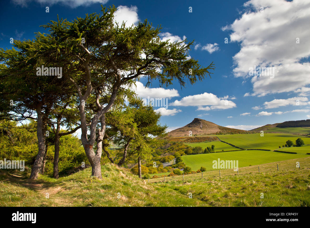 Nähe Topping, einem markanten Hügel die Form Vergleiche mit dem Matterhorn in der Schweiz geführt hat. Stockfoto