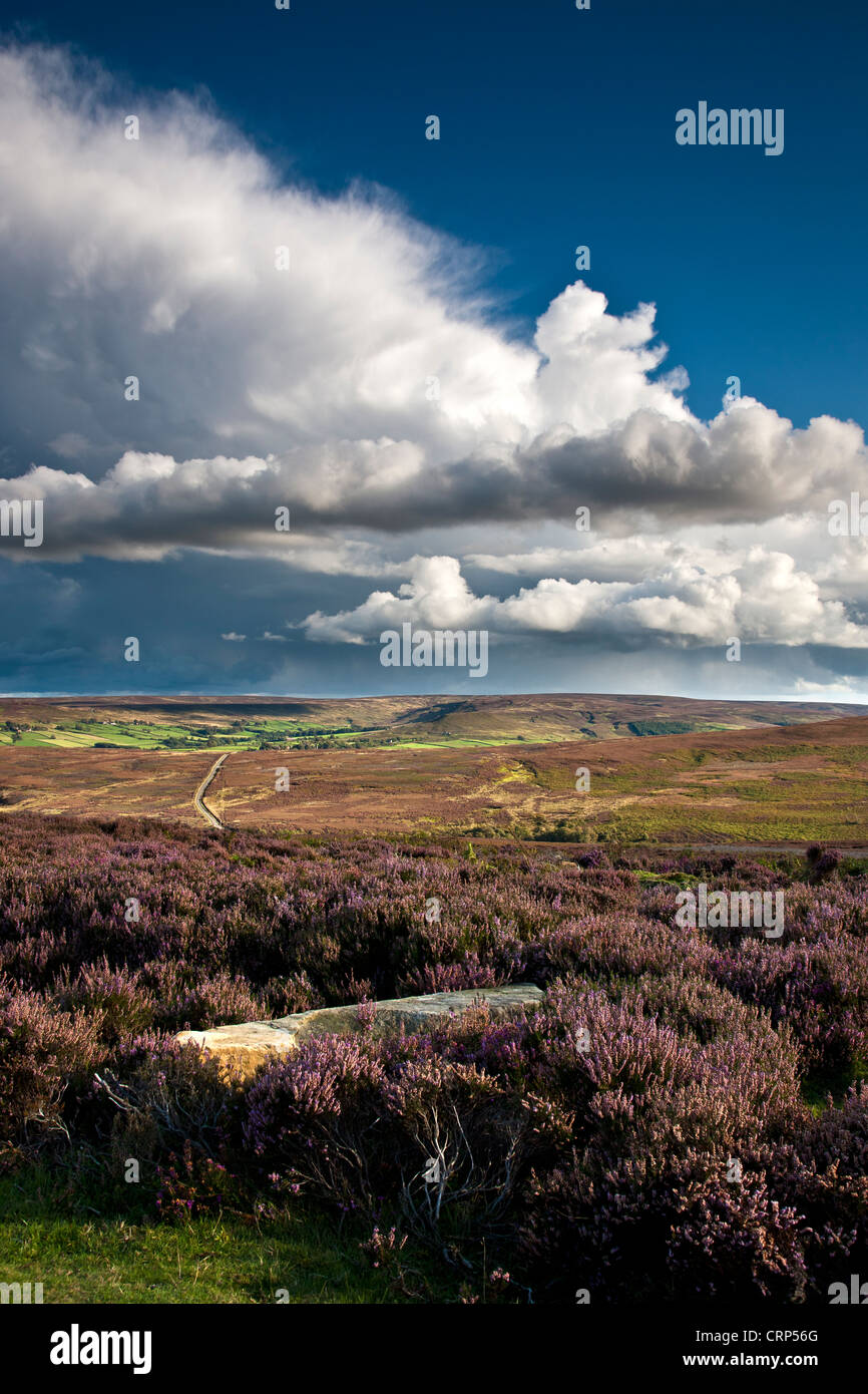 Blick über Commondale Moor in Richtung Dorf Westerdale im Esk Valley in den North York Moors National Park. Stockfoto