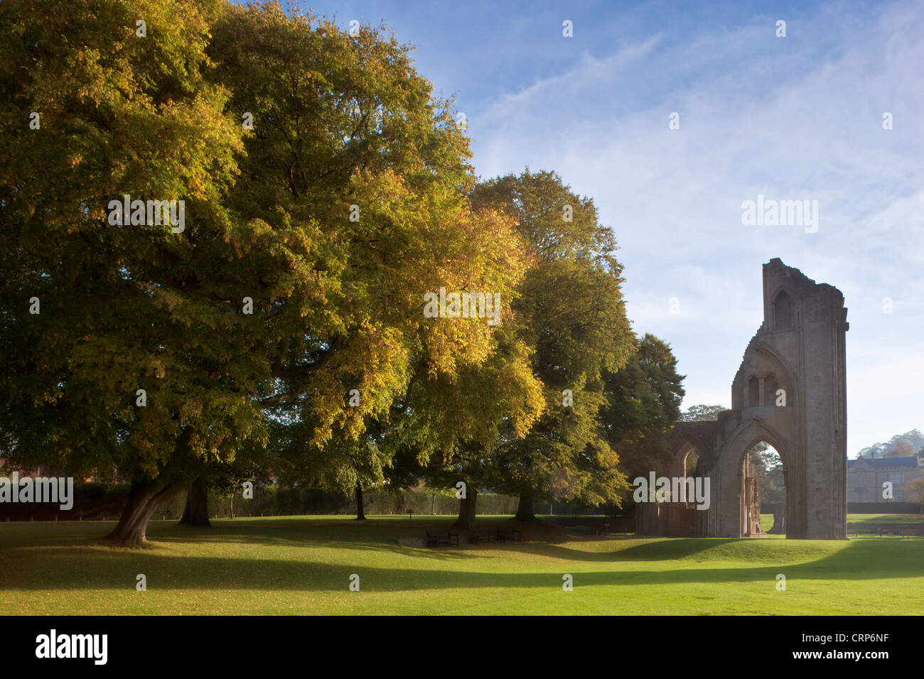 Die Ruinen der Abtei von Glastonbury im Herbst Pracht. Stockfoto