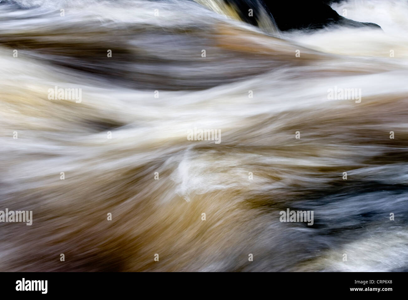 Fluß Wharfe, Strid Holz, Bolton Abbey, North Yorkshire Dales Stockfoto