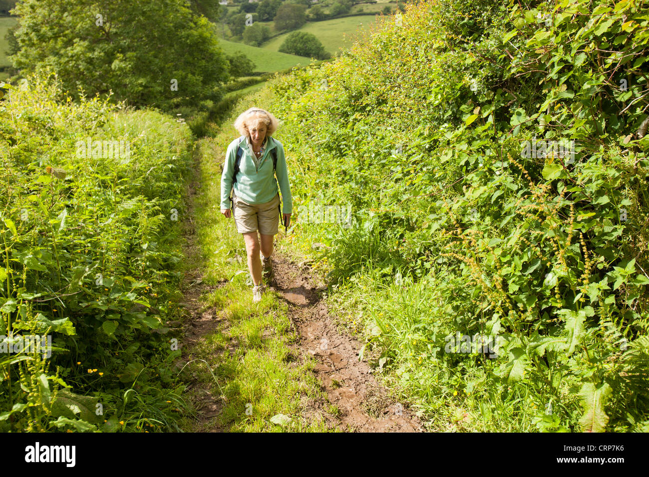 Eine Frau zu Fuß auf einer grünen Gasse Fischteich unten, Dorset, UK. Stockfoto