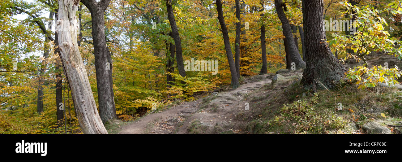 Wanderweg in der Bode Gorge Nature Reserve, Thale, Harz, Sachsen-Anhalt, Deutschland, Europa Stockfoto