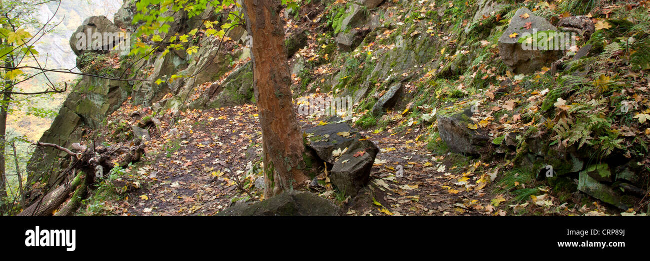 Wanderweg in der Bode Gorge Nature Reserve, Thale, Harz, Sachsen-Anhalt, Deutschland, Europa Stockfoto