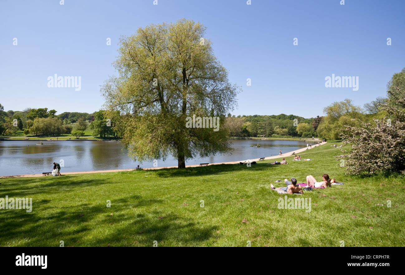 Menschen sonnen sich in der Nähe eines Teiches in Hampstead Heath, London, England, Großbritannien, GB. Stockfoto