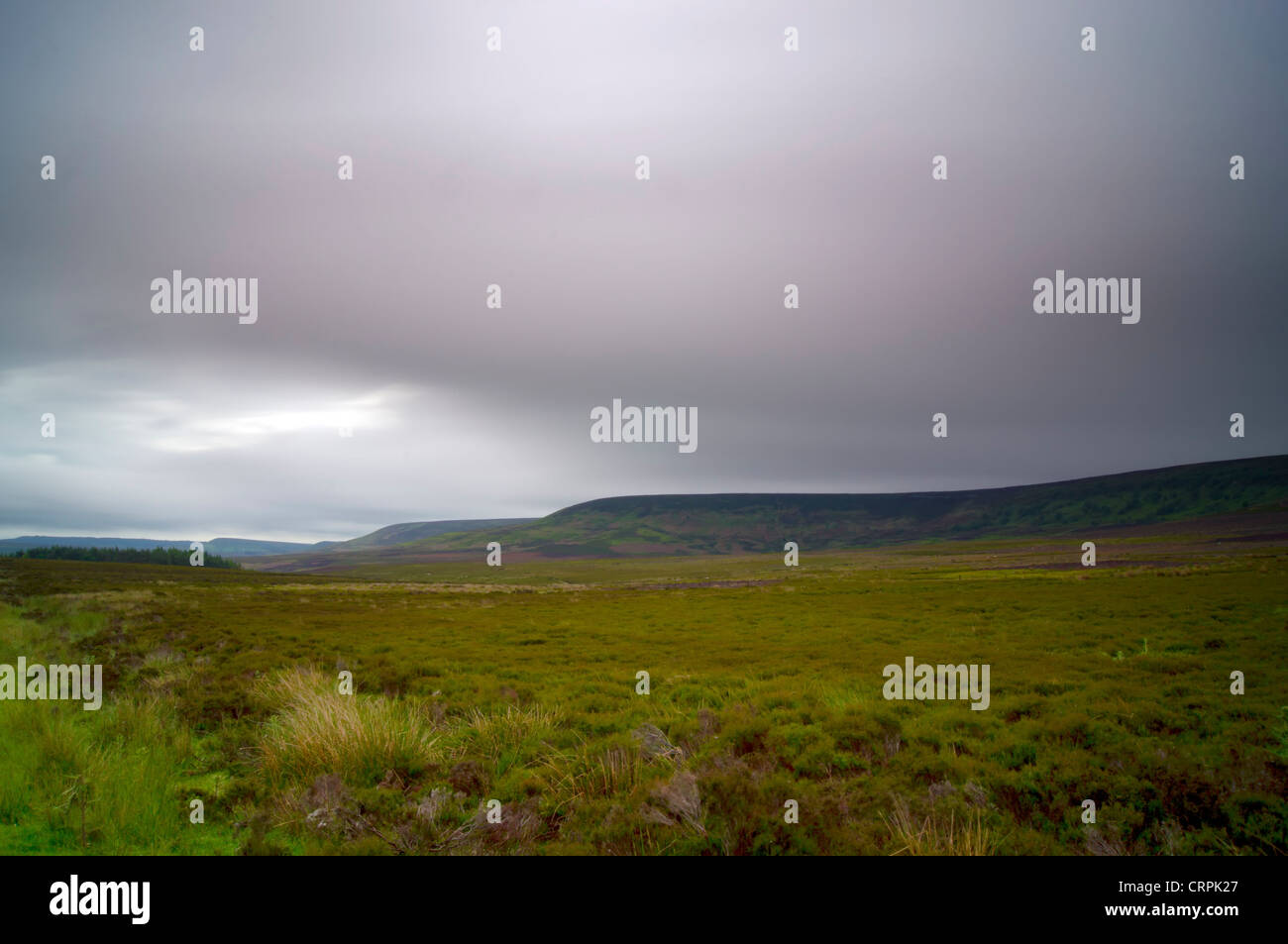 Yorkshire Moors Stockfoto