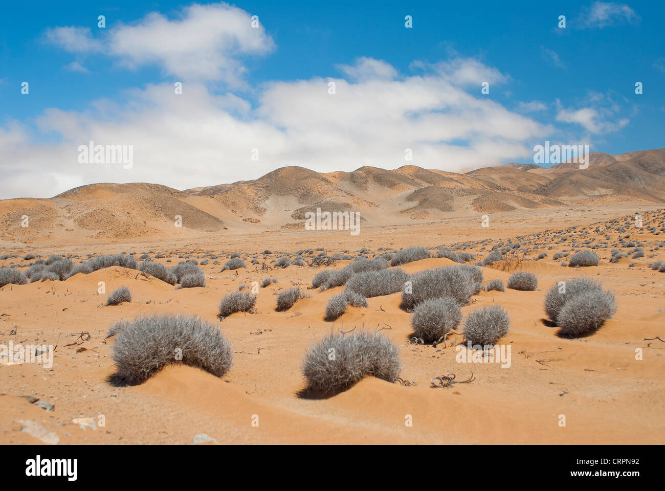 ariden und trockenen Landschaft in der Atacama-Wüste in Chile Stockfoto
