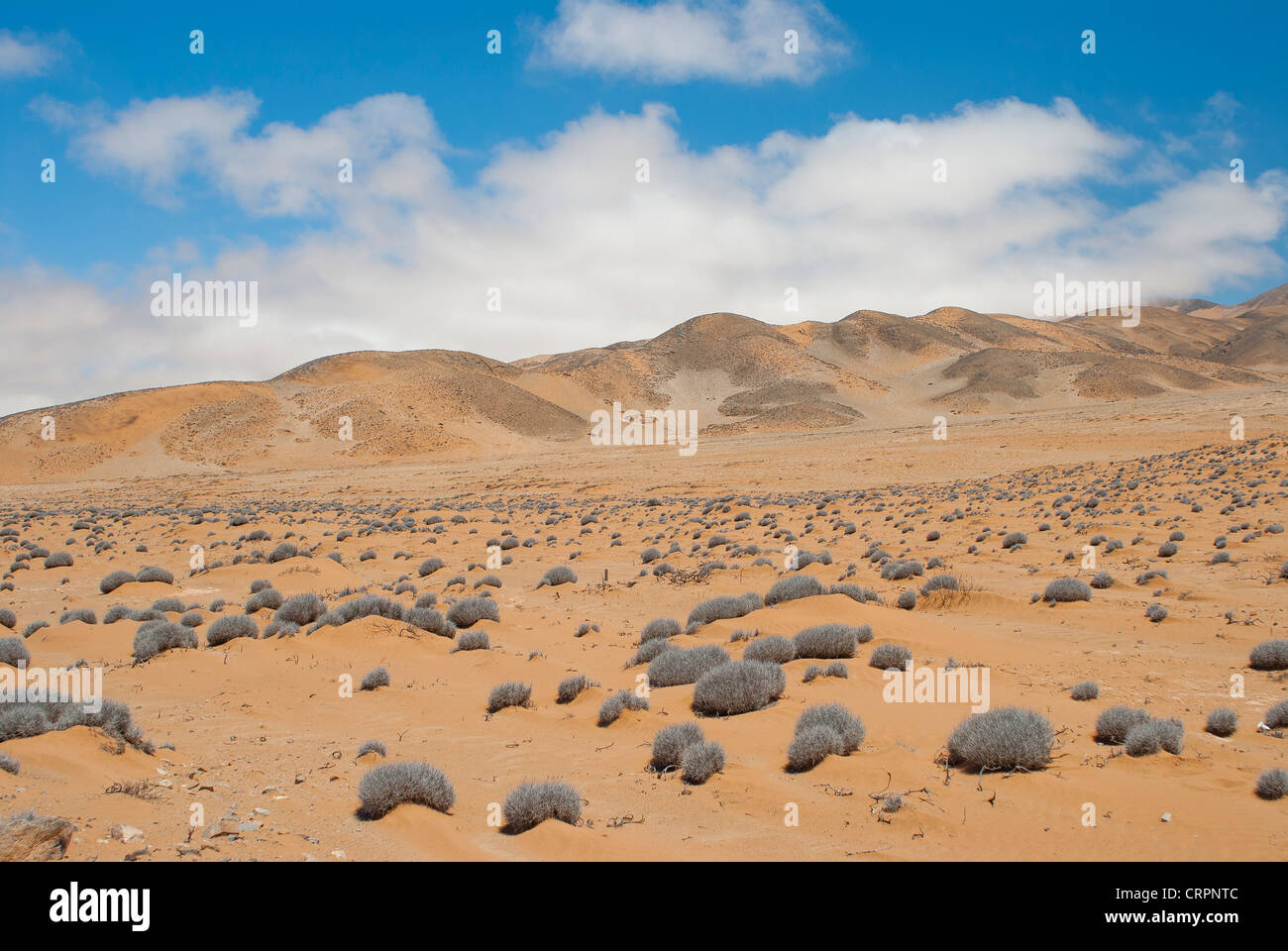 ariden und trockenen Landschaft in der Atacama-Wüste in Chile Stockfoto