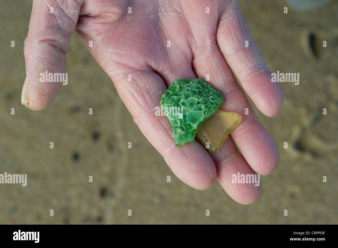Hand mit Seeglas Kent Island Maryland USA Stockfoto