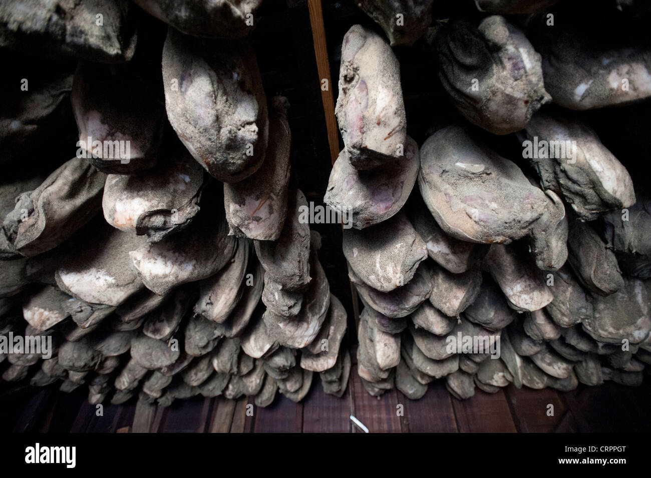 Hängenden Schinken Stockfoto