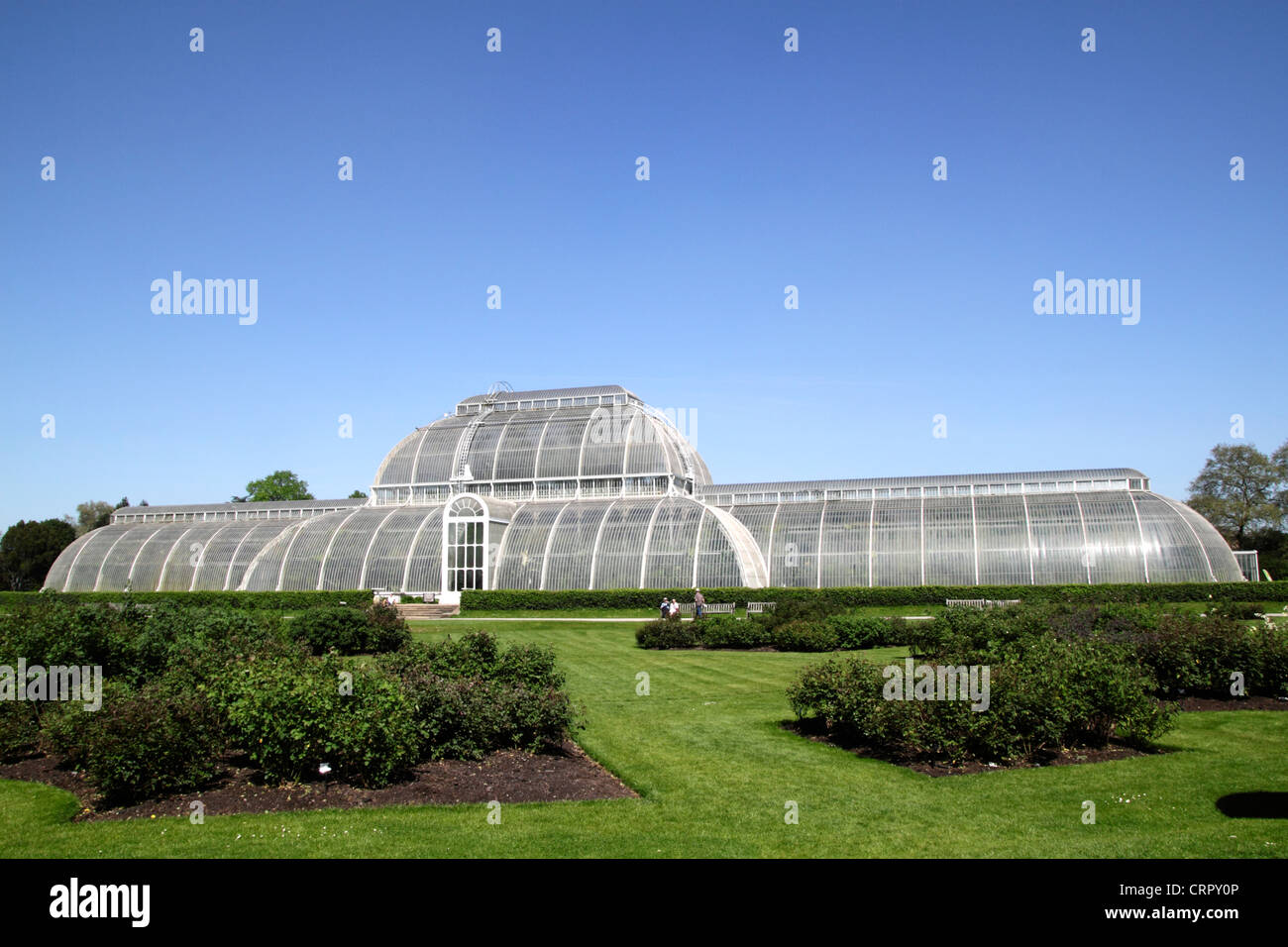 Palm House Kew Gardens London Stockfoto