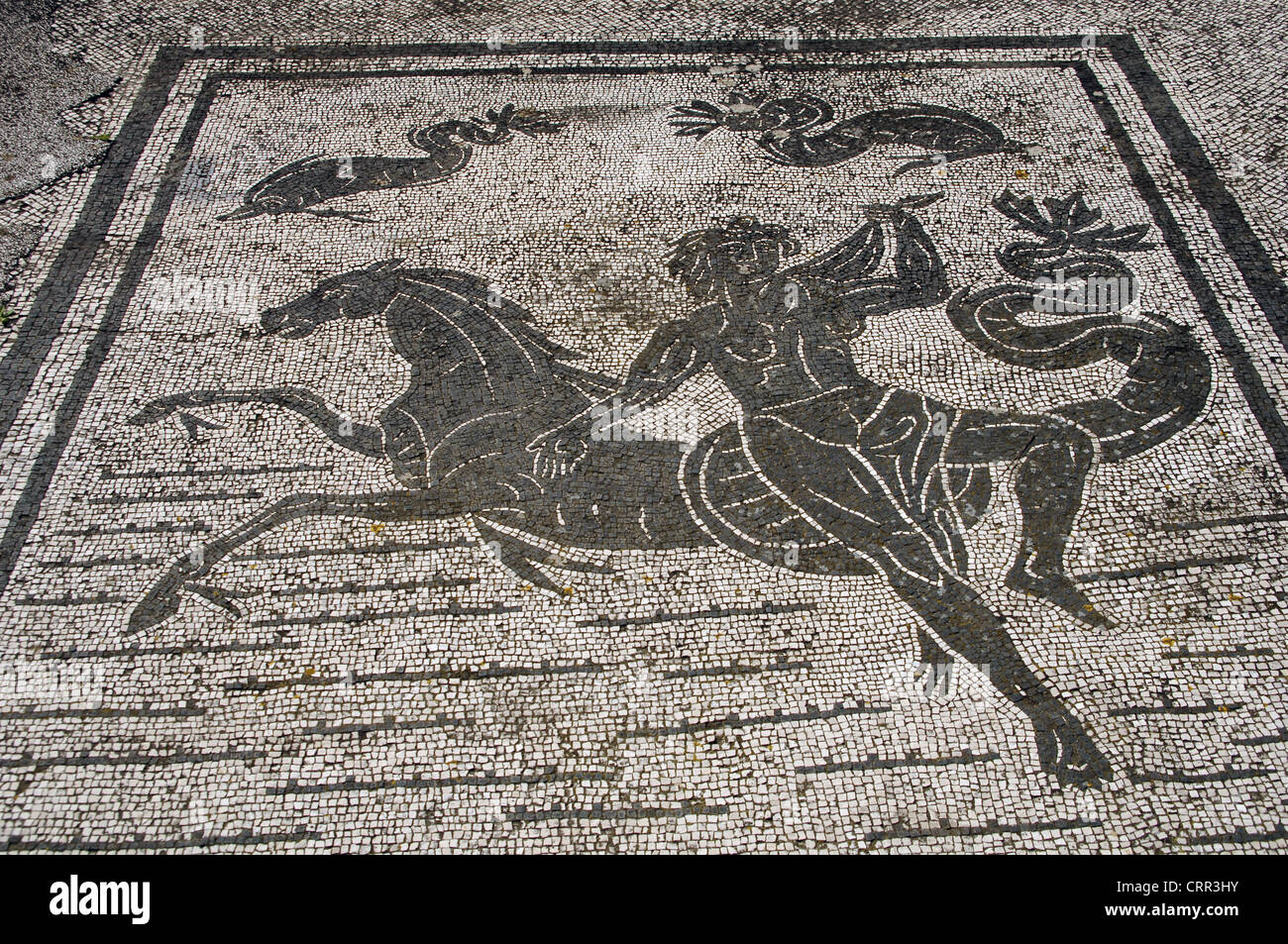 Ostia Antica. Platz der Gilden oder Konzerne. Mosaik-Darstellung einer Nereide mit einem Seepferdchen. In der Nähe von Rom. Stockfoto