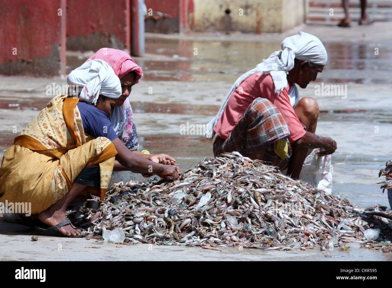 Cochin Fischmarkt in Kerala Stockfoto