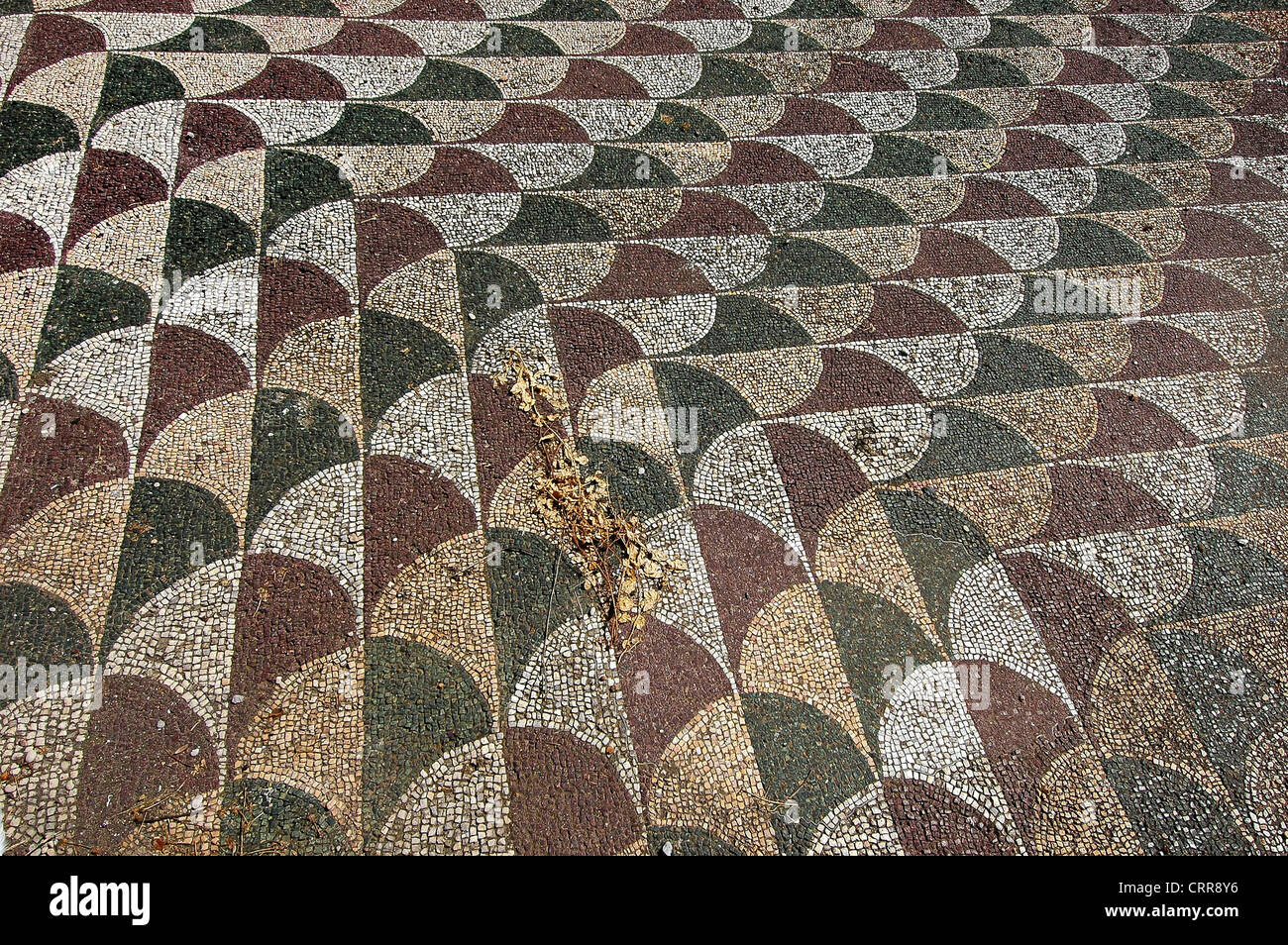 Europa Italien Latium Latium Rom das Mosaik der Caracalla Thermen Stockfoto