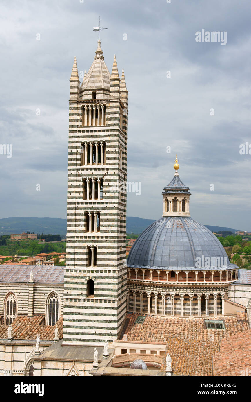 Detail der Dom von Siena (Duomo di Siena) in toskanischen Gotik, Toskana, Italien. Stockfoto