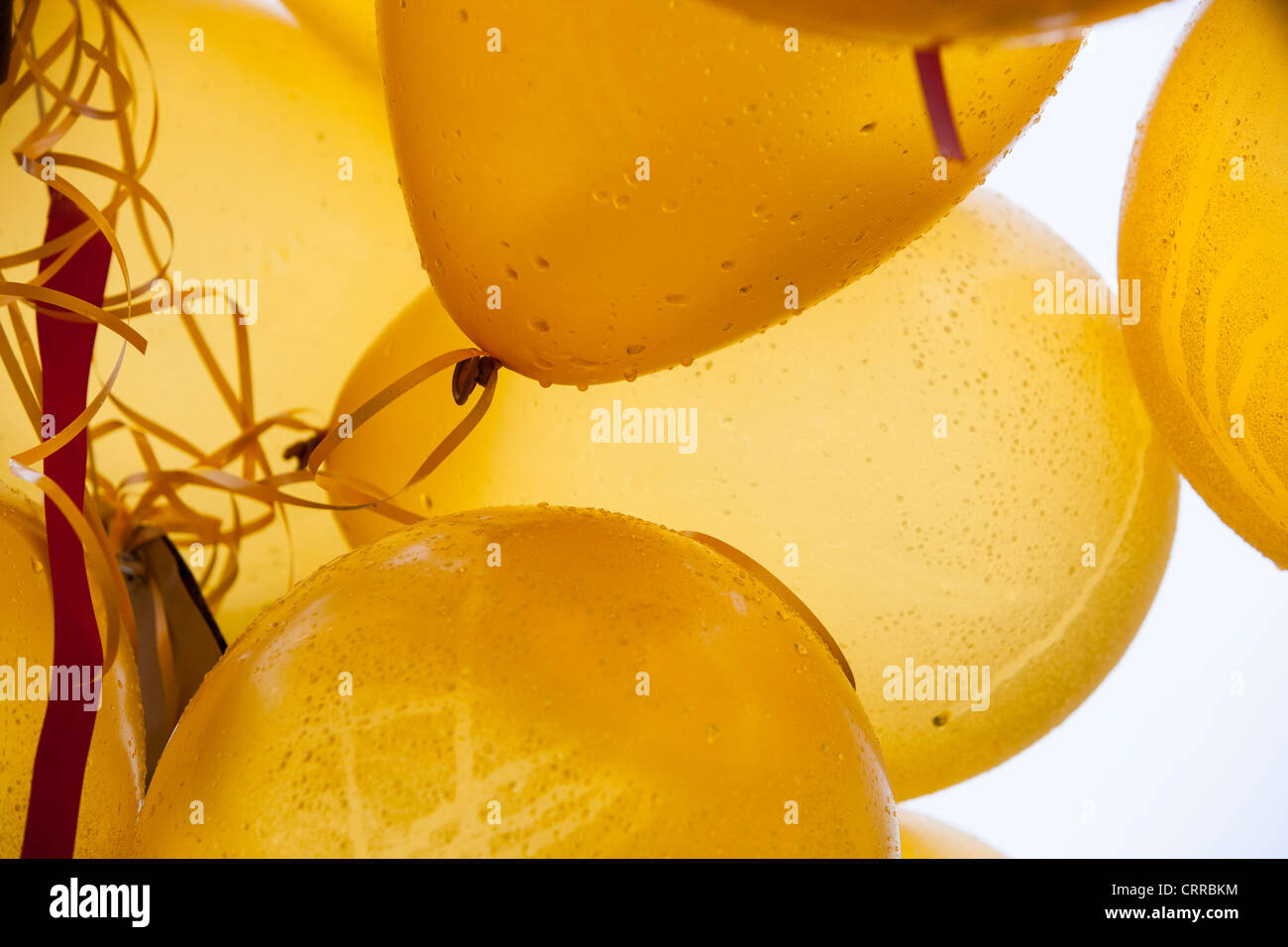 Ein gold Ballon Baum Teil der Feierlichkeiten als die Olympische Fackel-Relais verläuft durch den Lake District, UK. Stockfoto