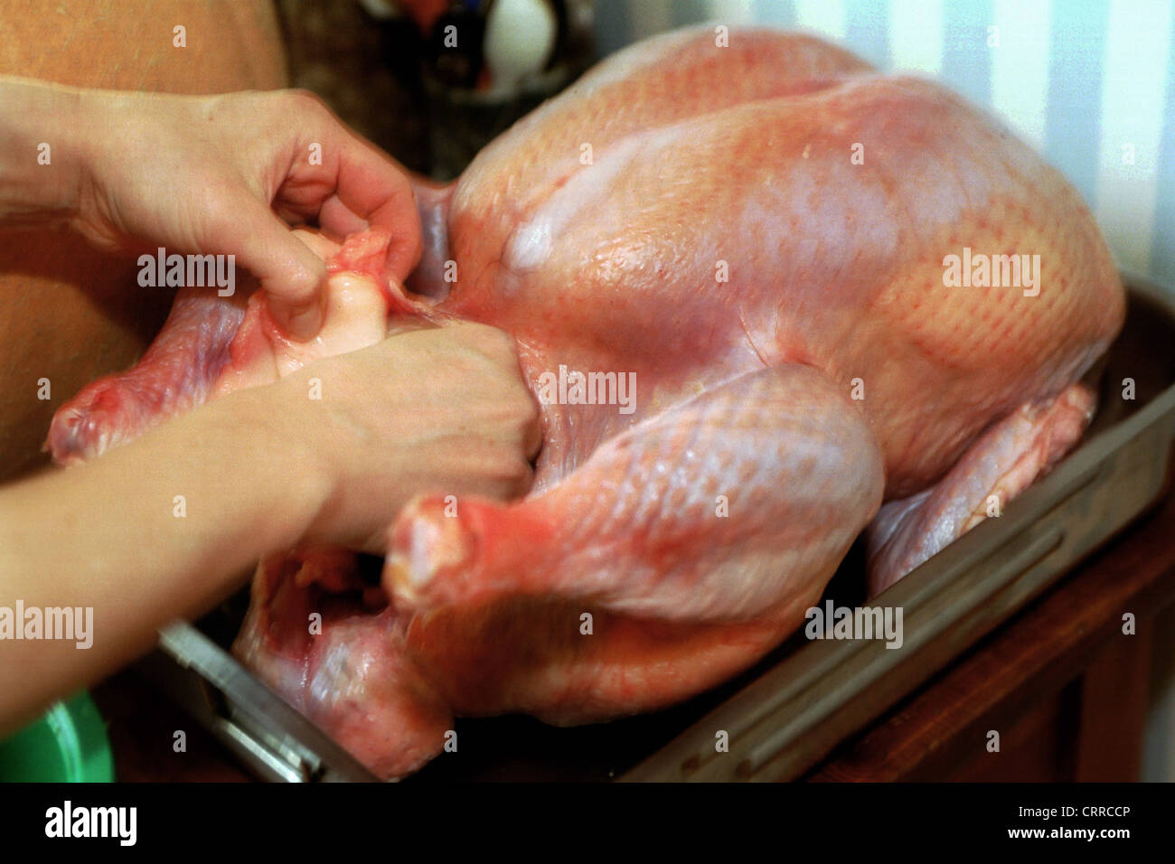 Eine Person wird einen Truthahn für Thanksgiving füllen. Stockfoto