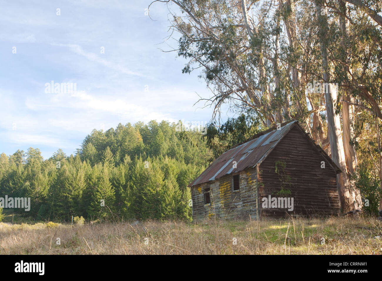Alte verlassene Hütte im sonnigen Feld Stockfoto