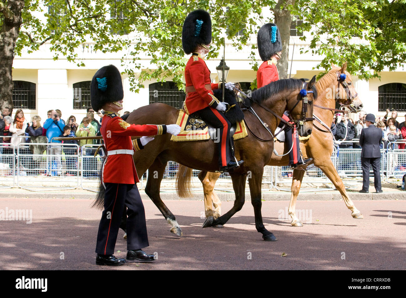 1. Bataillon Iren Wachen Offizier auf dem Pferderücken in der Mall für Trooping die Farbe The Mall London UK. Stockfoto